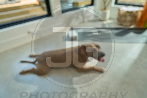 20250805_LoveABull208885