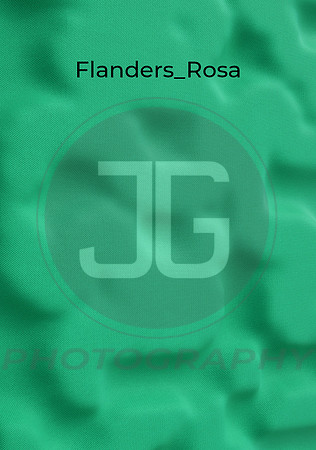 Flanders_Rosa