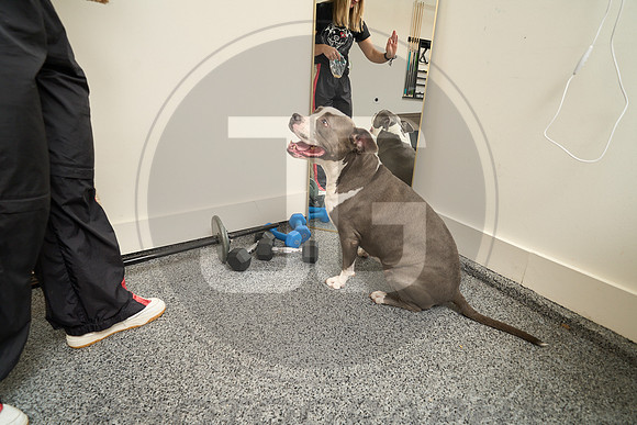 20250805_LoveABull200197