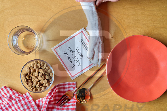 _JG20385