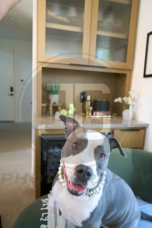 20250805_LoveABull207466