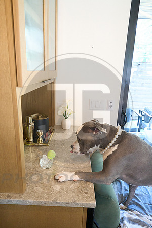 20250805_LoveABull207571