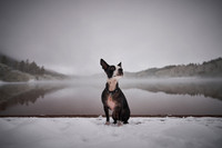 _DSC0464
