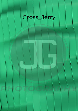 Gross_Jerry