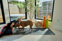 20250805_LoveABull208774